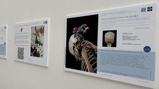 Exposición de anatomía combina arte y ciencia en el Hospital del Henares