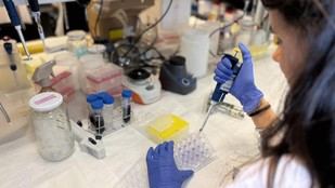 Identifican proteína clave en la agresividad del melanoma