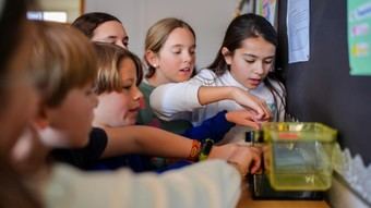 Abre el plazo para inscribirse en la Liga de Minecraft para Primaria en Madrid