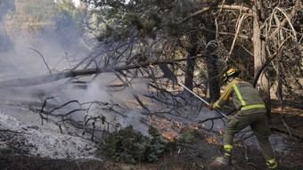 Comunidad de Madrid establece línea directa para ayudar a municipios afectados por incendios