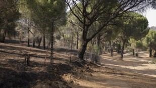 Madrid agiliza la gestión de residuos tras incendios forestales para limpiar áreas afectadas