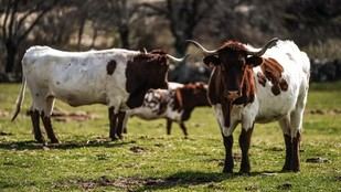 Agotadas las ayudas para jóvenes agricultores en Madrid en solo cuatro meses