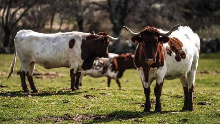 Agotadas las ayudas para jóvenes agricultores en Madrid en solo cuatro meses