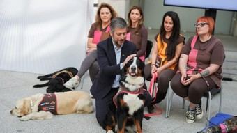 Incremento del 25% en asistencia a menores con perros de apoyo en Madrid