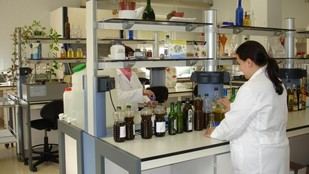 Avances en compuestos bioactivos para nutrición personalizada en Madrid