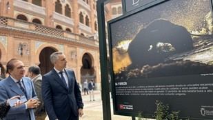 Casi el 90% de los festejos taurinos en Madrid contarán con reses locales