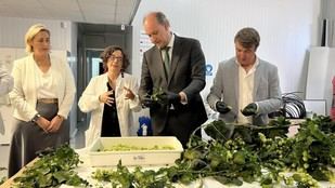 Ayudas para 89 pymes de Madrid en Inteligencia Artificial
