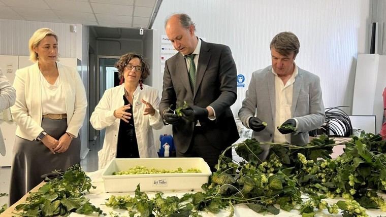 Ayudas para 89 pymes de Madrid en Inteligencia Artificial