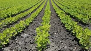 La Comunidad de Madrid lanza ayudas de 4,2 millones para industrias agroalimentarias