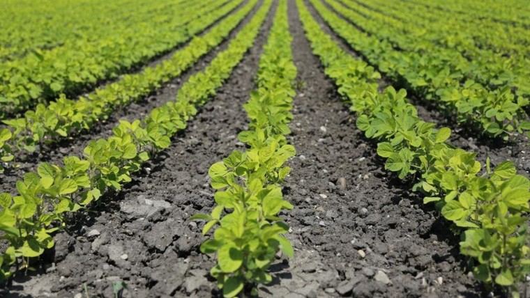 La Comunidad de Madrid lanza ayudas de 4,2 millones para industrias agroalimentarias