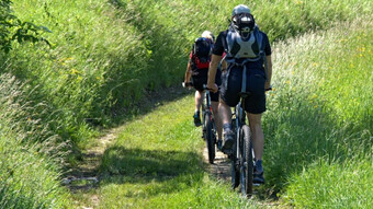 Madrid destina parte de la recaudación cicloturista a reforestar la Sierra Oeste