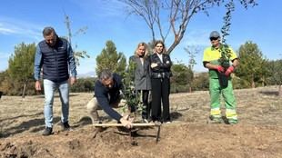 La Comunidad de Madrid distribuye 25.000 plantas autóctonas para reforestación