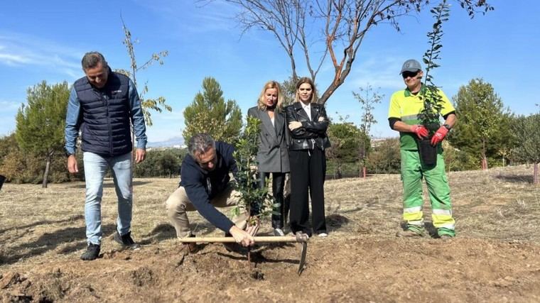 La Comunidad de Madrid distribuye 25.000 plantas autóctonas para reforestación