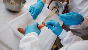 Madrid investiga la creación de productos cárnicos saludables con aceite de oliva virgen extra