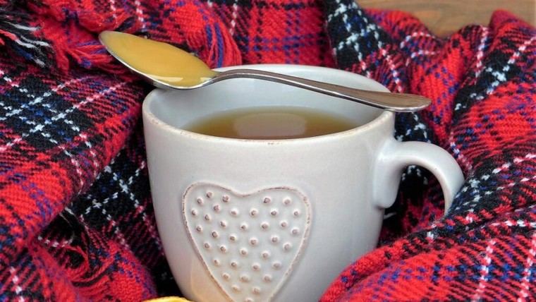 Estudian los beneficios de la kombucha con fibra en la salud intestinal