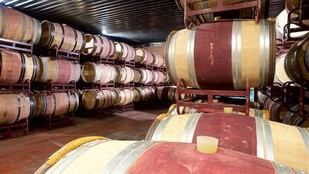 Mejoran seis bodegas en cuatro municipios de Madrid para impulsar el enoturismo