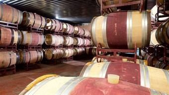 Mejoran seis bodegas en cuatro municipios de Madrid para impulsar el enoturismo