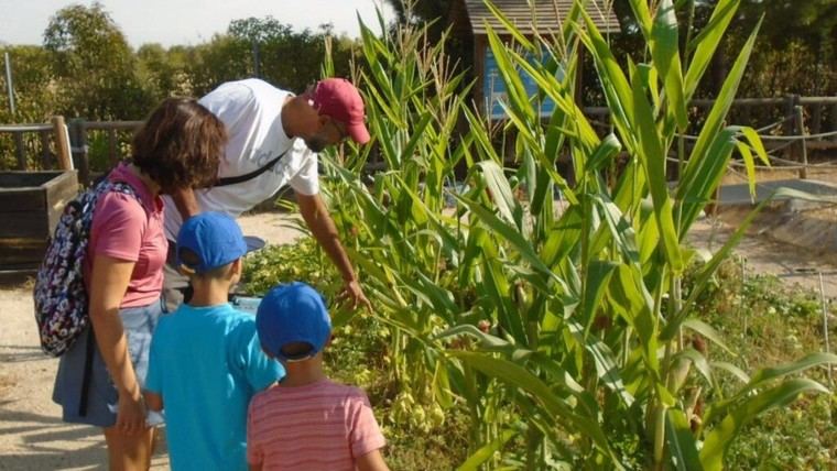 Madrid capacita a 600 estudiantes en conservación de flora autóctona