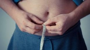 Identifican conexiones entre microbiota intestinal y salud metabólica en obesidad