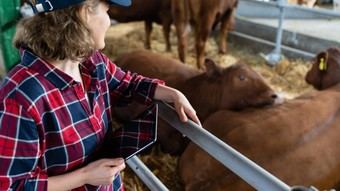 Programa de apoyo a mujeres rurales para el emprendimiento en Madrid