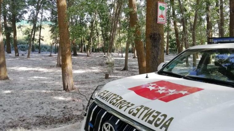 Campaña de vigilancia en Madrid para prevenir incendios por pelusa de chopo