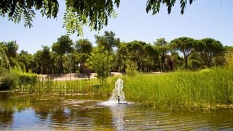 Madrid avanza en la obtención de hidrógeno verde a partir del sol y el agua