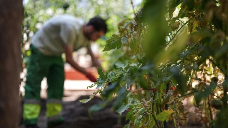Madrid destina 58 millones para la atención de menores infractores en centros especializados