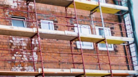 Avance en medicina: andamios de carbono impresos en 3D mejoran la regeneración ósea