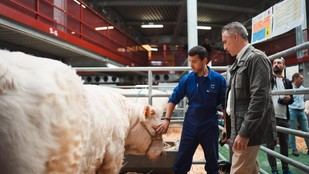 Subasta Nacional de Ganado Selecto en Madrid con 172 ejemplares de razas puras