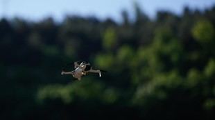 Dron autónomo para la agricultura en Madrid: detección de plagas y control de aves