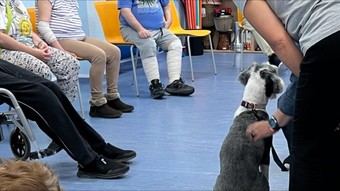 Madrid implementa un innovador programa terapéutico con perros para pacientes con trastornos mentales graves