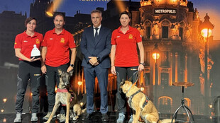 La Comunidad de Madrid recibe dos premios por su labor en emergencias y gestión del agua