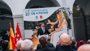 Madrid destaca en la adopción de perros de servicio jubilados