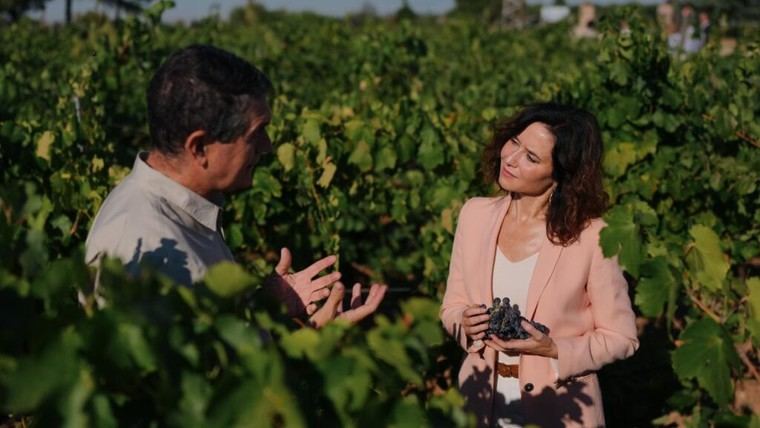 La Comunidad de Madrid lanza un nuevo vino tinto y experimenta con uno blanco autóctono