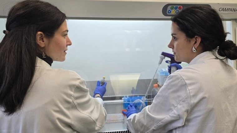 Madrid avanza en la reforma de regulación sanitaria para mejorar la atención y seguridad ciudadana
