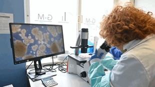 Sanidad pública de Madrid presenta más de 80 actividades en la Semana de la Ciencia