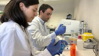 Comunidad de Madrid lanza programa para impulsar la carrera clínica y científica de investigadores jóvenes