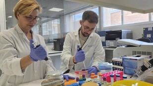 Startup innovadora mejora diagnóstico de cáncer de vejiga con tecnología no invasiva