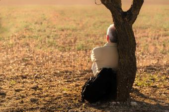 Calor extremo: cómo proteger a las personas mayores en una ola de calor