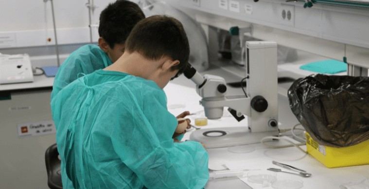 Más de 120 jóvenes exploran la ciencia en talleres educativos