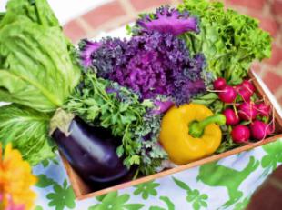 Por qué elegir lo que está en temporada mejora tu salud y tu piel