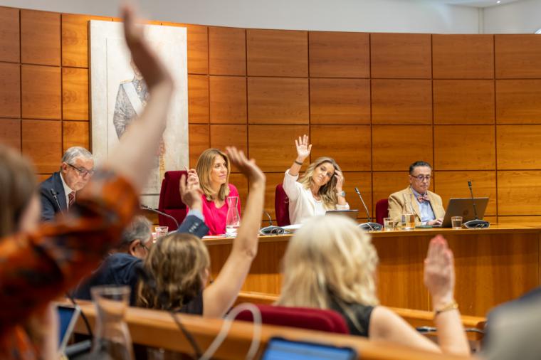 El Pleno del Ayuntamiento de Pozuelo de Alarcón aprueba una moción de los populares para exigir la dimisión de Pedro Sánchez