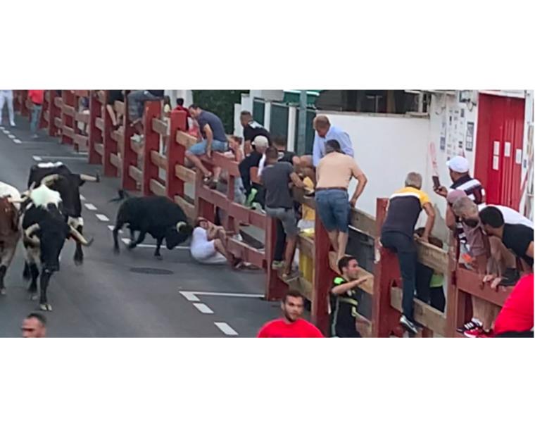 En encierro de ayer acaba con dos heridos