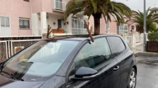 Coche “reno” en Madrid: cuándo sí pueden multarte por los adornos navideños