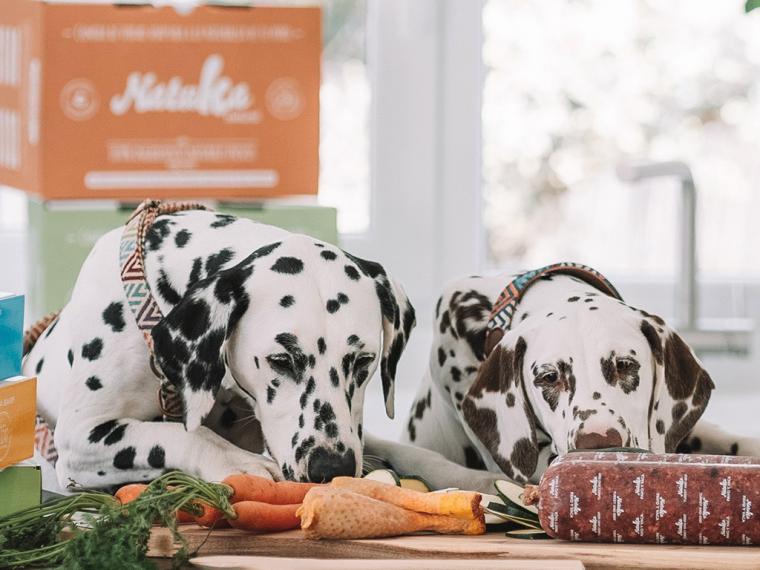 Menús saludables, basados en ingredientes naturales, frescos y crudos para perros y gatos 