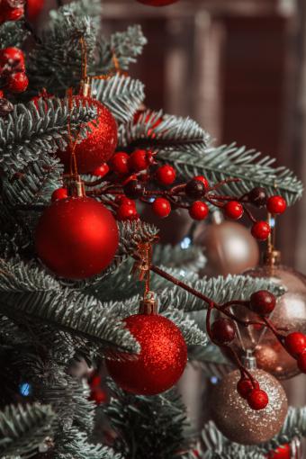 El acebo, el tejo o el alcornoque, algunas de las especias protegidas para los adonrnos navideños