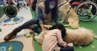 El Hospital 12 de Octubre extiende las intervenciones asistidas con perros a niños con tumores cerebrales para favorecer su rehabilitación cognitiva