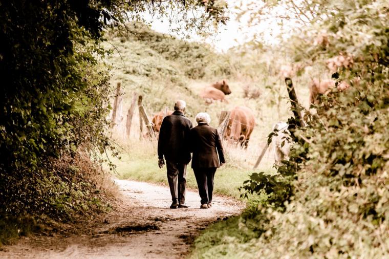 Pozuelo de Alarcón es la ciudad con la esperanza de vida más alta de toda España, con menor tasa de paro y con mayor renta media