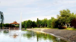 Jardineros de Pozuelo de Alarcón inician huelga para exigir mejores condiciones laborales