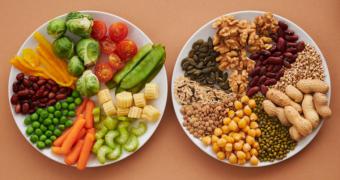 Beneficios en la dieta con alimentos de origen vegetal